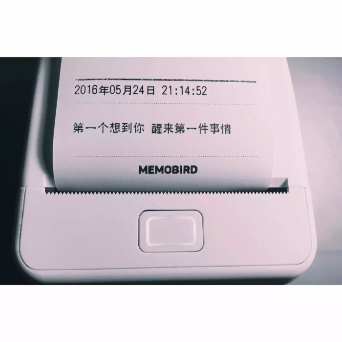 日记本里的秘密花园? 日记本里的秘密花园?