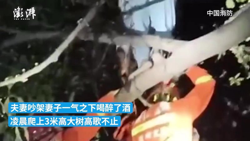 失眠夜的温柔情话：哄你入眠的甜蜜话语