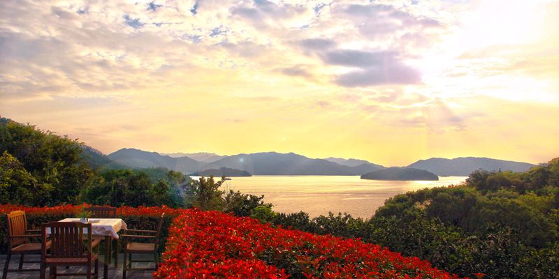 在千岛湖的早晨,我看见了水里的星星? 在千岛湖的早晨,我看见了水里的星星?