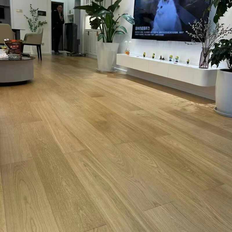 橡树日记—森林深处的岁月静好