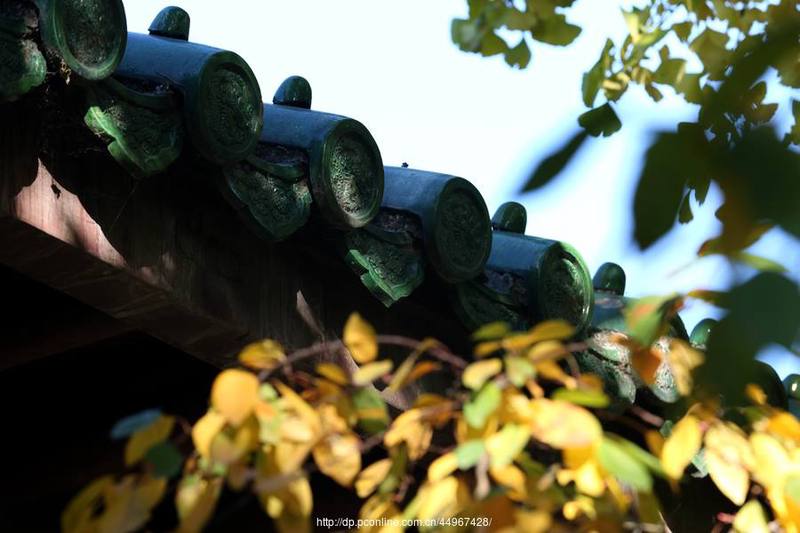 秋后算账—那些让人怦然心动的情话