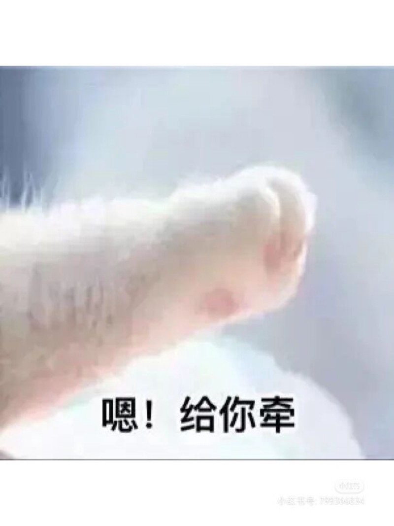 操场上的小情话，句句温暖心田…