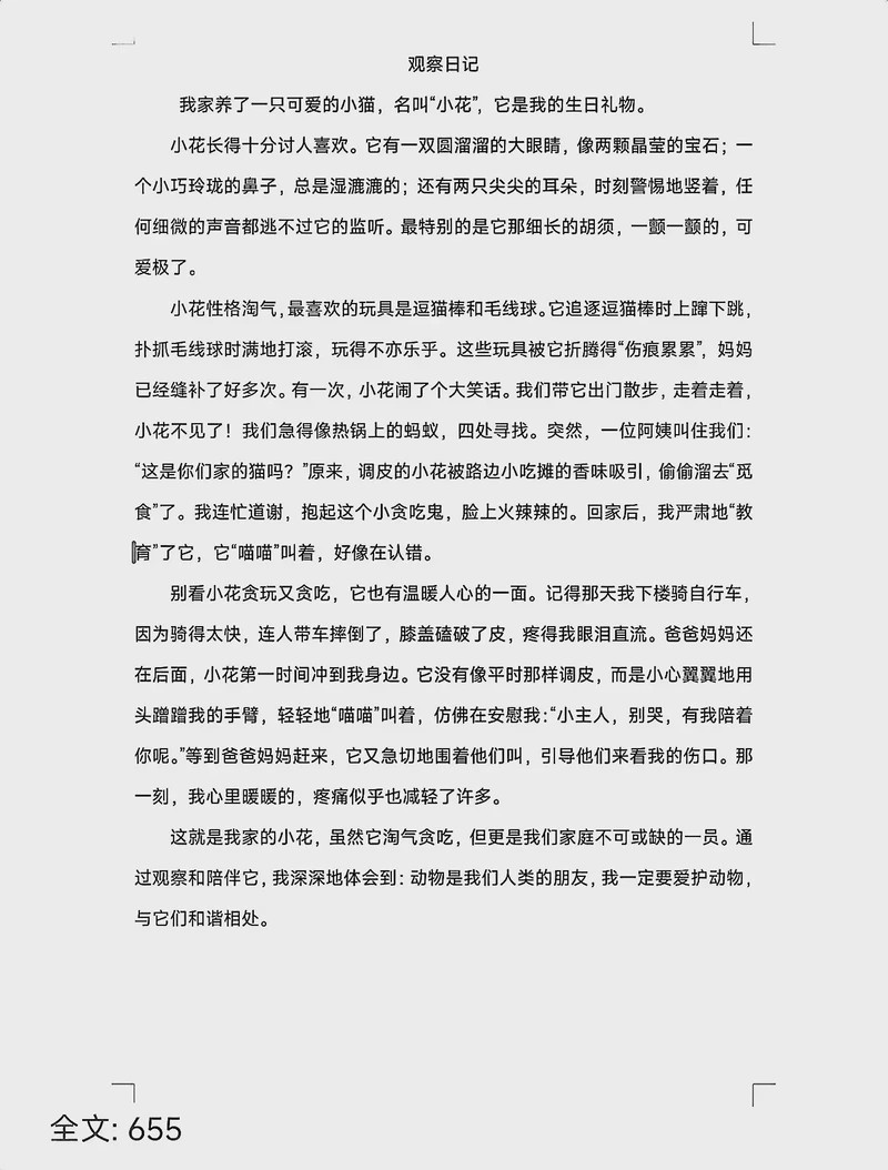 小花猫的奇妙一天！