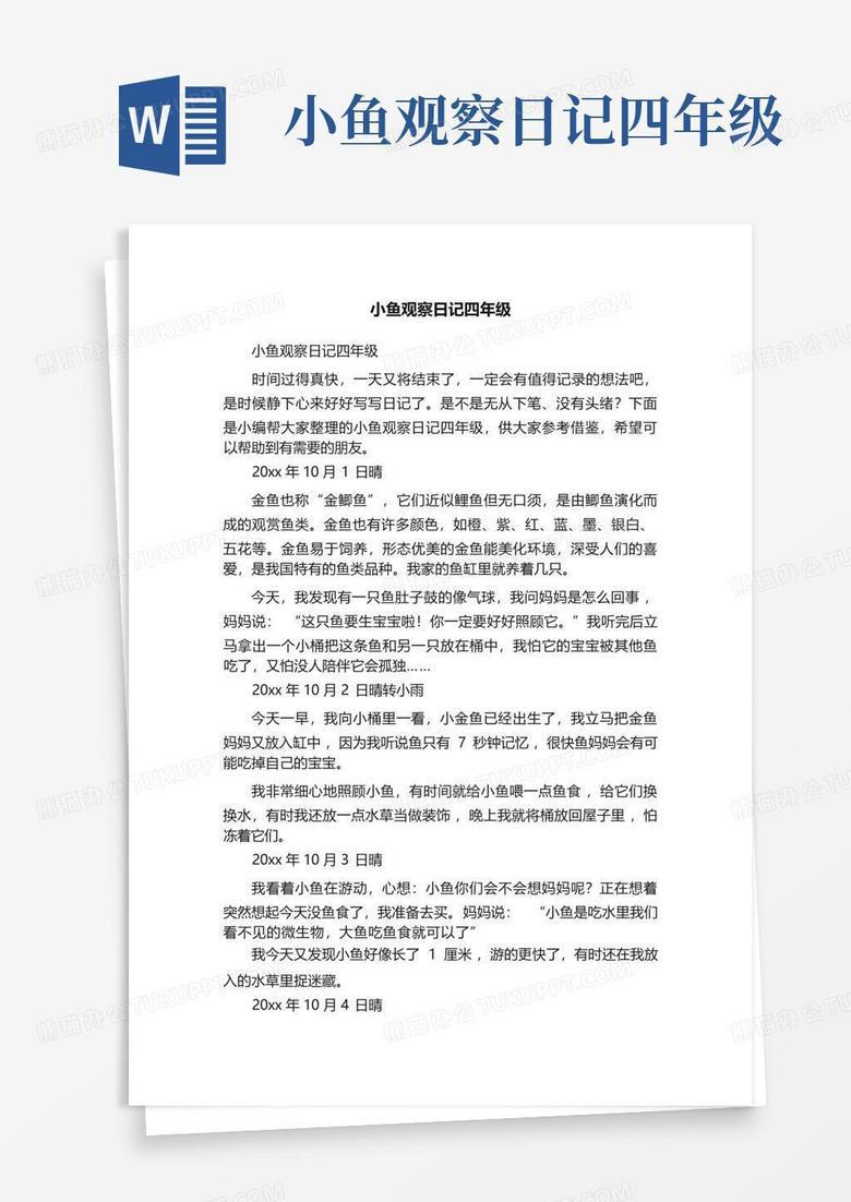 观察小金鱼的奇妙旅程 观察小金鱼的奇妙旅程