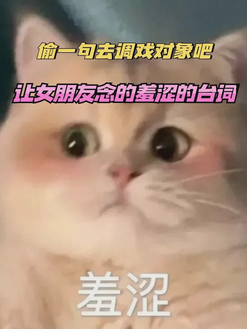 逆光中的甜蜜回响？