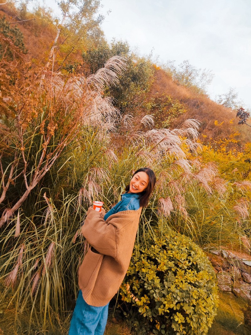 秋风送爽，落叶纷飞—美丽的秋天日记