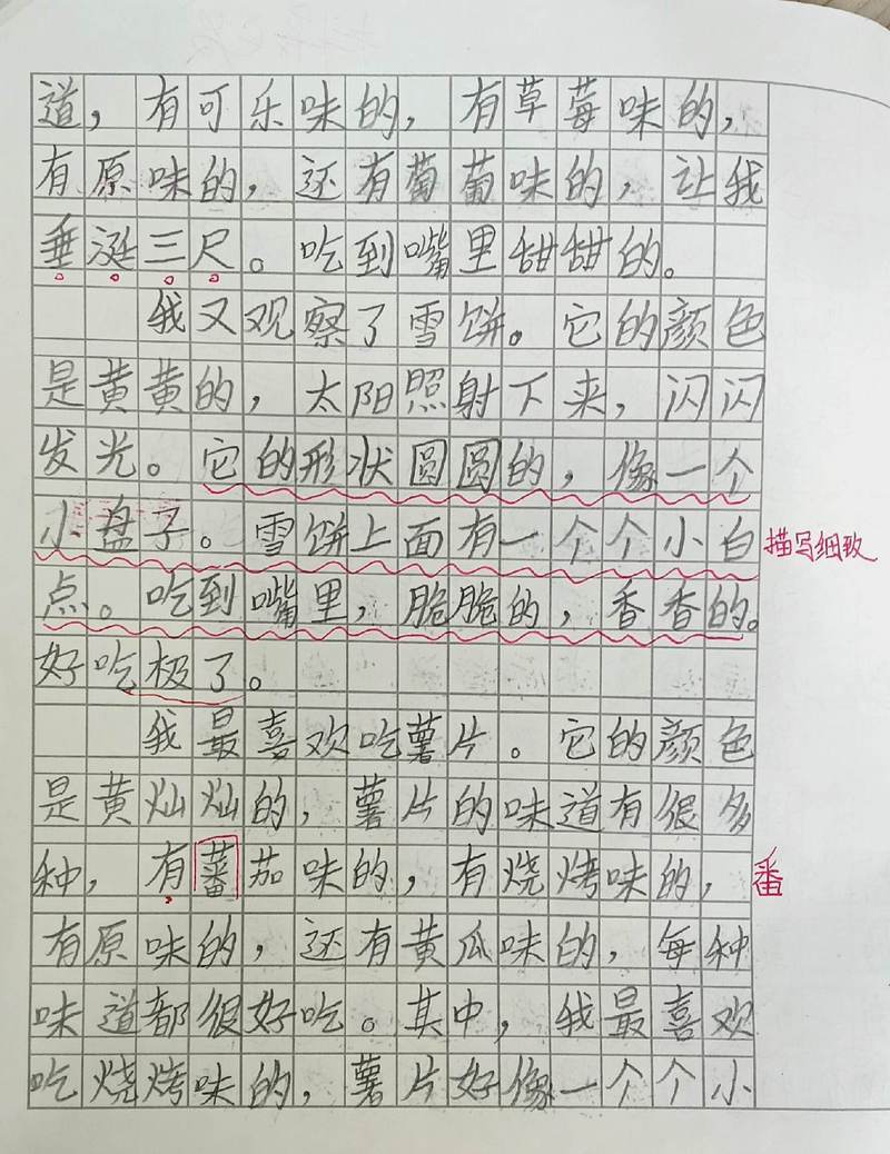 蚂蚁的观察日记…