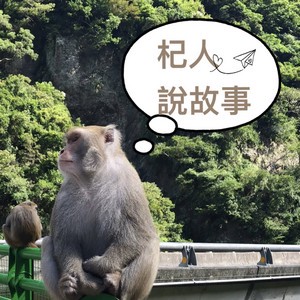 月夜下的温馨邂逅？