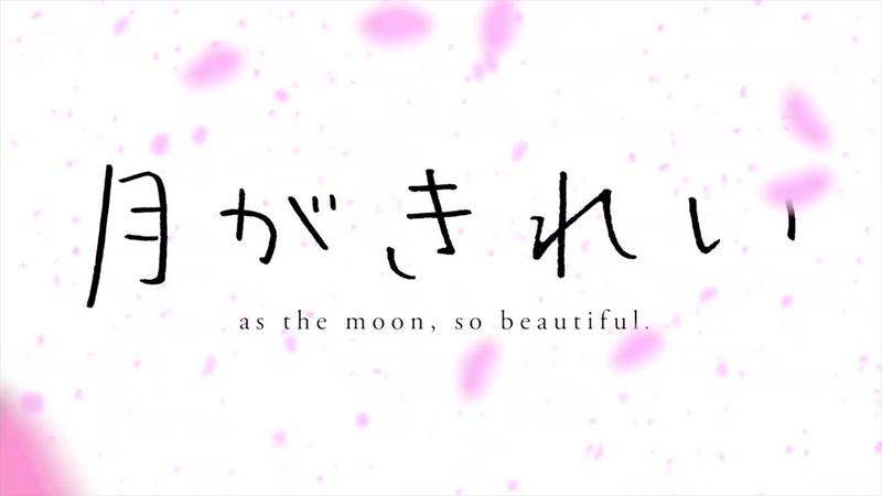 在樱花飘落的季节，遇见你，是我最美的遗憾…