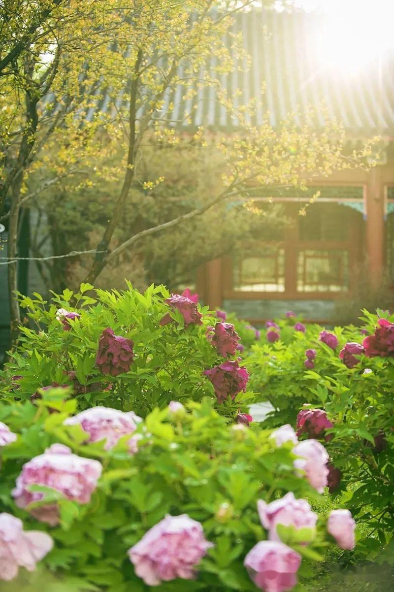 时光的温柔，因你而暖…