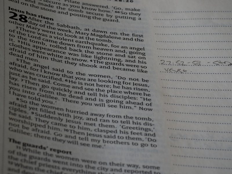 学游泳的日记丨笨拙与进步