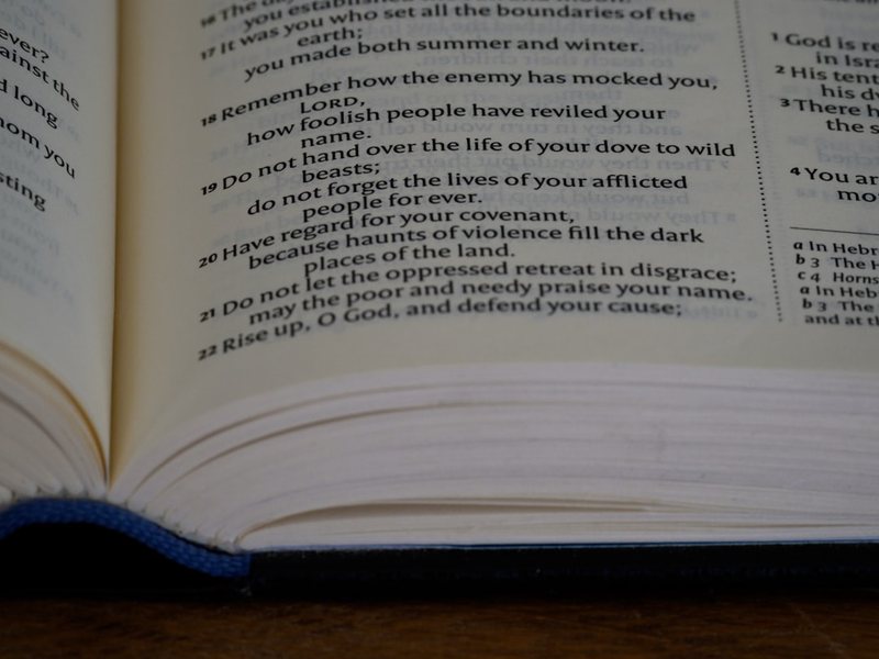 六年级的最后一篇日记! 六年级的最后一篇日记!