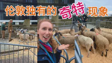 雨后初晴，心随旅人行…