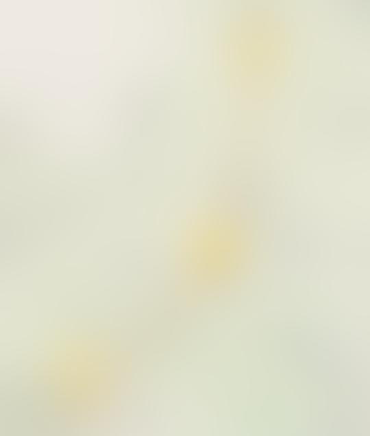 窗外的景色从黄土变成了草原，我也要去包头了！