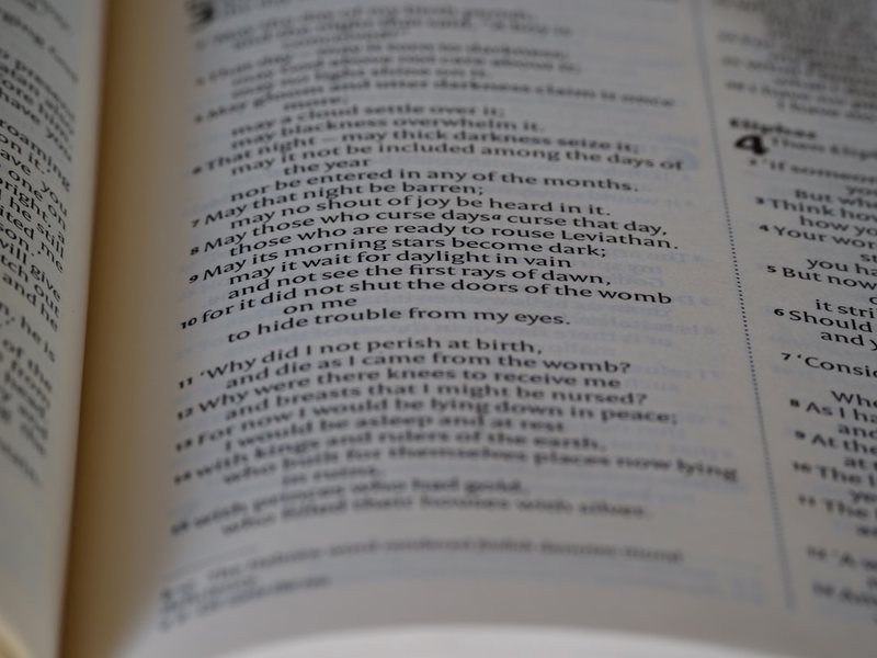 端午还没到，我却在冰箱里翻出粽子…