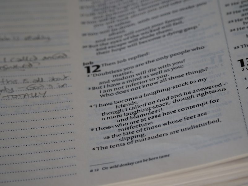 今天我当家真开心！