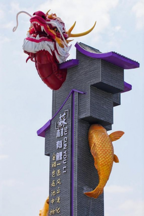 锦鲤的故事—鱼缸里的时光