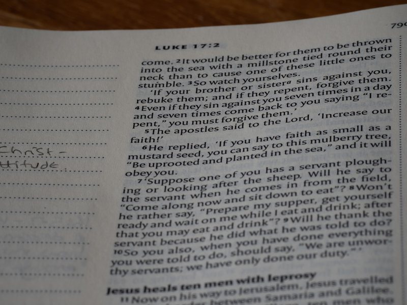 暑假里的英语“极限挑战”与长篇大论？