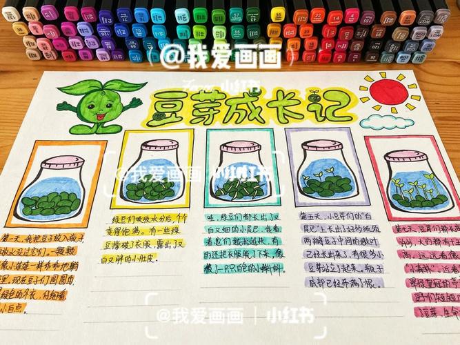 阳光下的成长：—我的植物日记