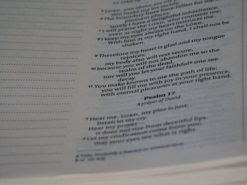 高中日记格式全解析！