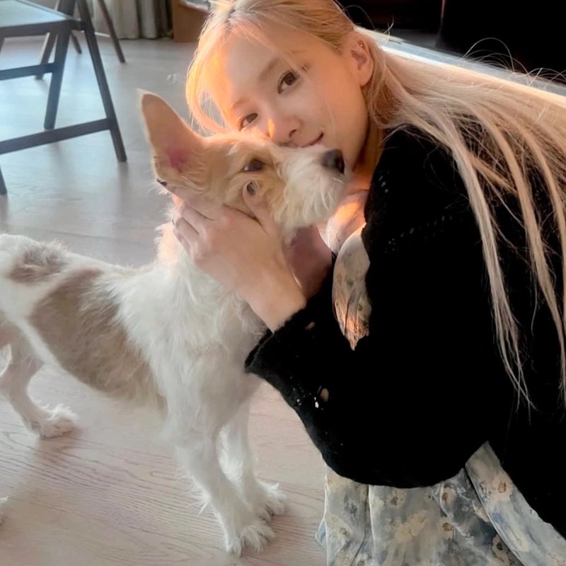 情话壁纸满屏·那些让人怦然心动的浪漫告白 情话壁纸满屏·那些让人怦然心动的浪漫告白