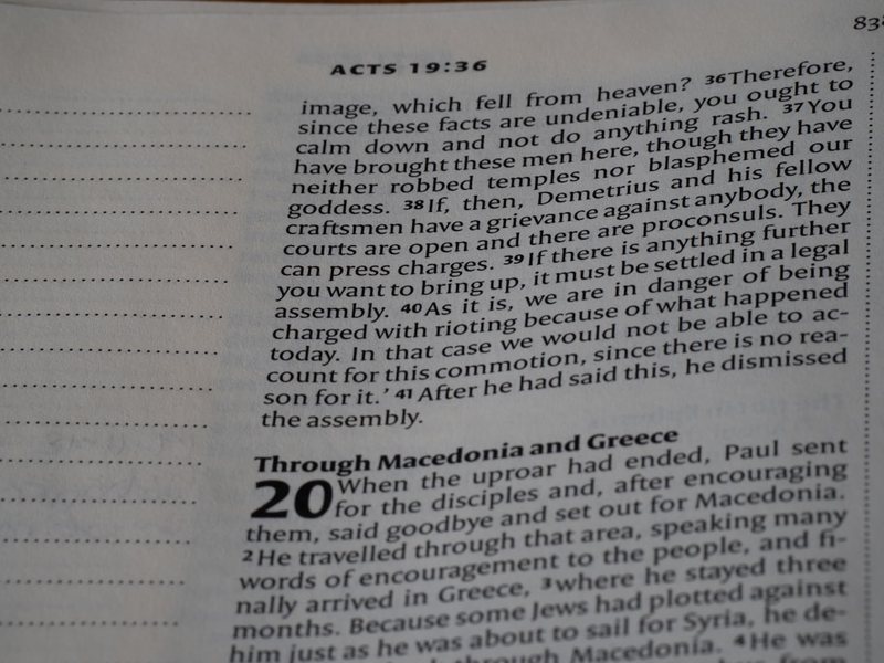 今天的风里全是春天的味道！