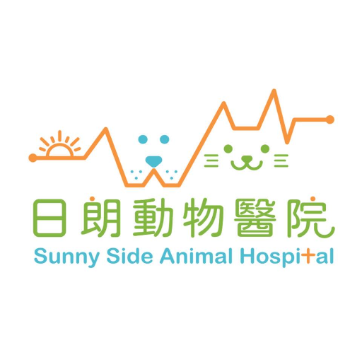 爪爪们的日记丨我在动物医院实习的日子 爪爪们的日记丨我在动物医院实习的日子