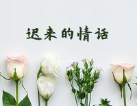 迟到的情话，却是最真挚的告白…