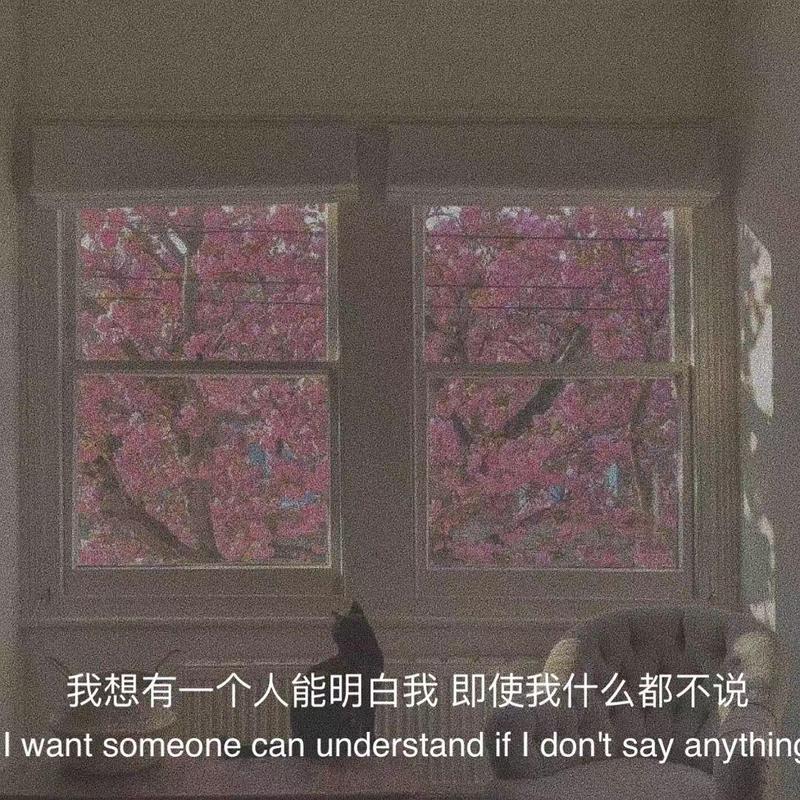 深夜情话—那些藏在夜色里的温柔告白 深夜情话—那些藏在夜色里的温柔告白