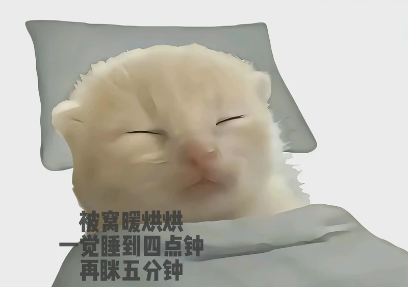 小虎的姿态,爱的承诺? 小虎的姿态,爱的承诺?