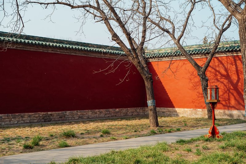 南京高校情话墙：爱在校园的温柔诗行