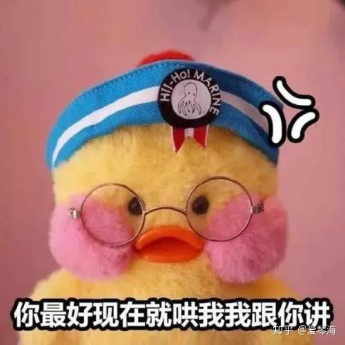 狗狗情话丨用英语说爱你的温暖瞬间