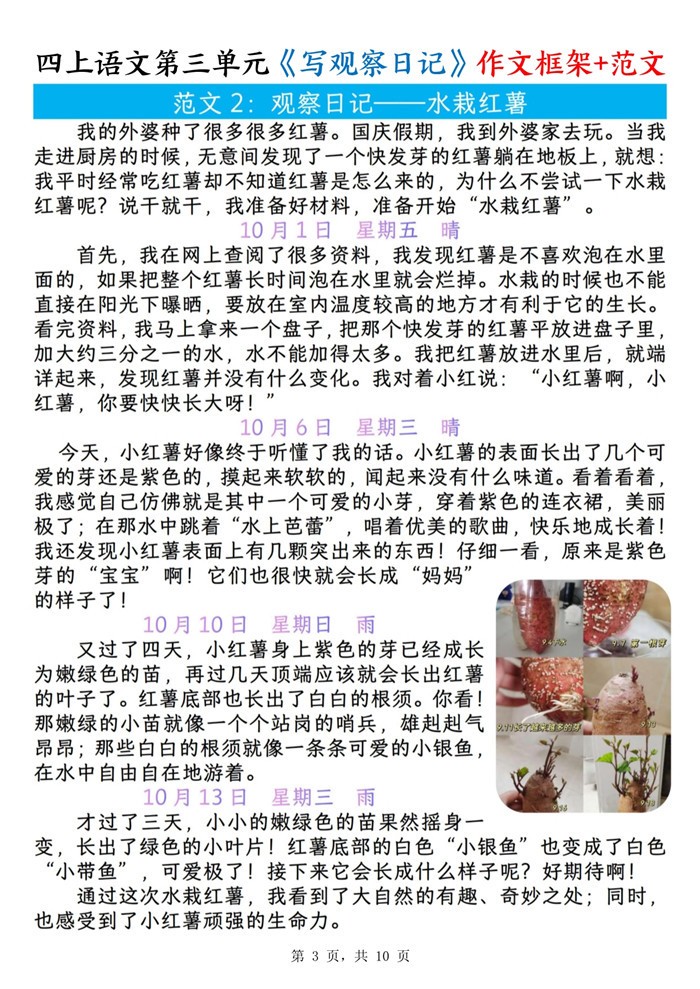 今天终于把作业写完了！