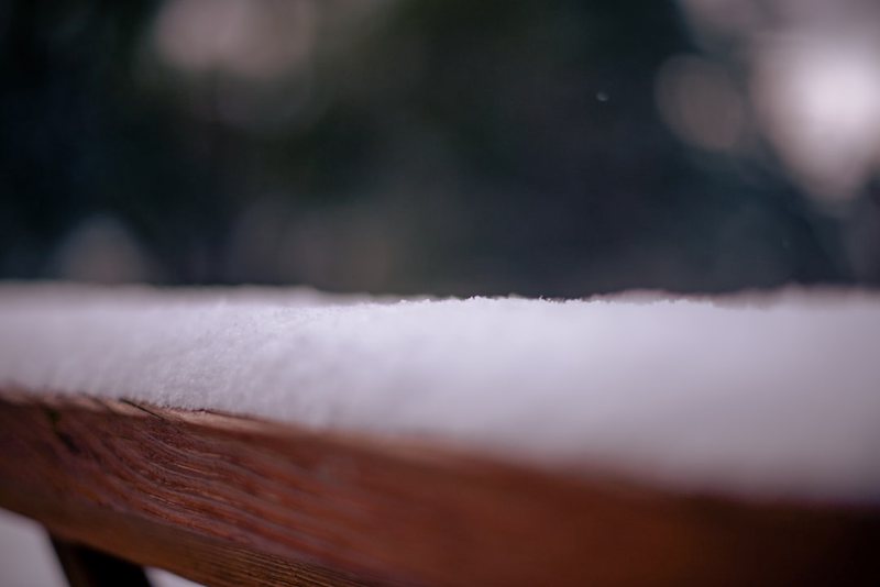 雪地里的回忆·青雪的冒险故事