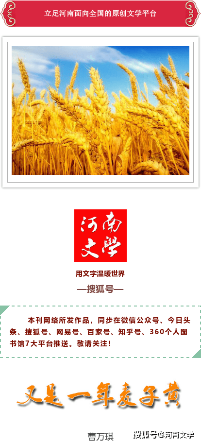 金黄的麦田里的成长印记！