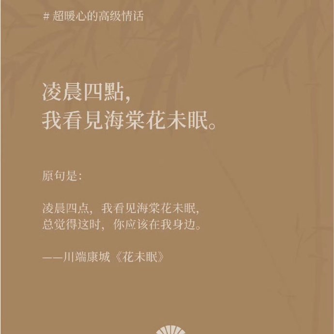 在文字的微光中,我遇见了你? 在文字的微光中,我遇见了你?