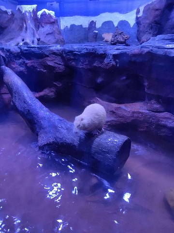 北海海底世界的奇妙之旅！