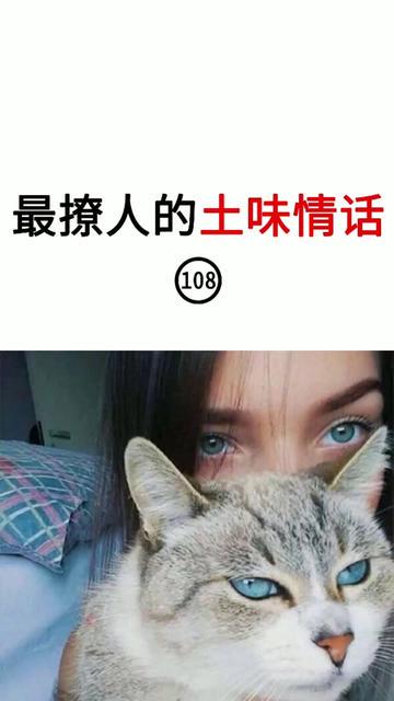 心之共鸣丨那些温柔与深情的瞬间