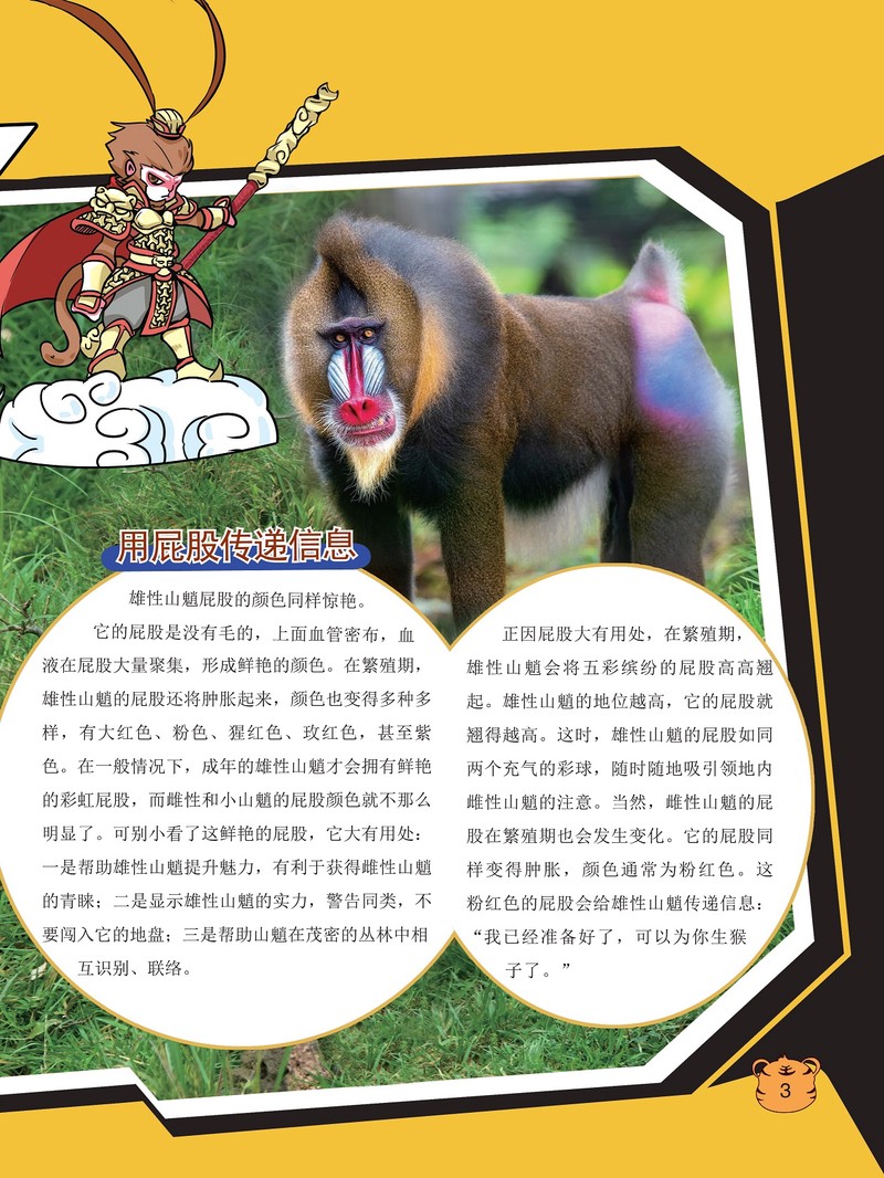 深夜的山魈传说…