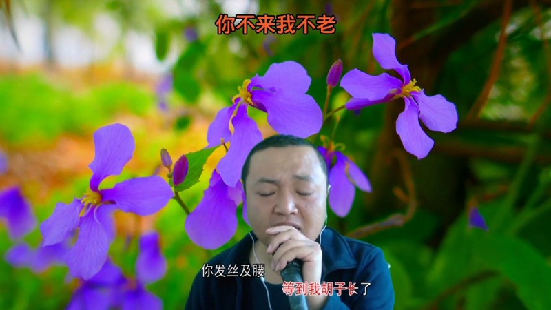 旋律中的永恒誓言：歌曲不老情话