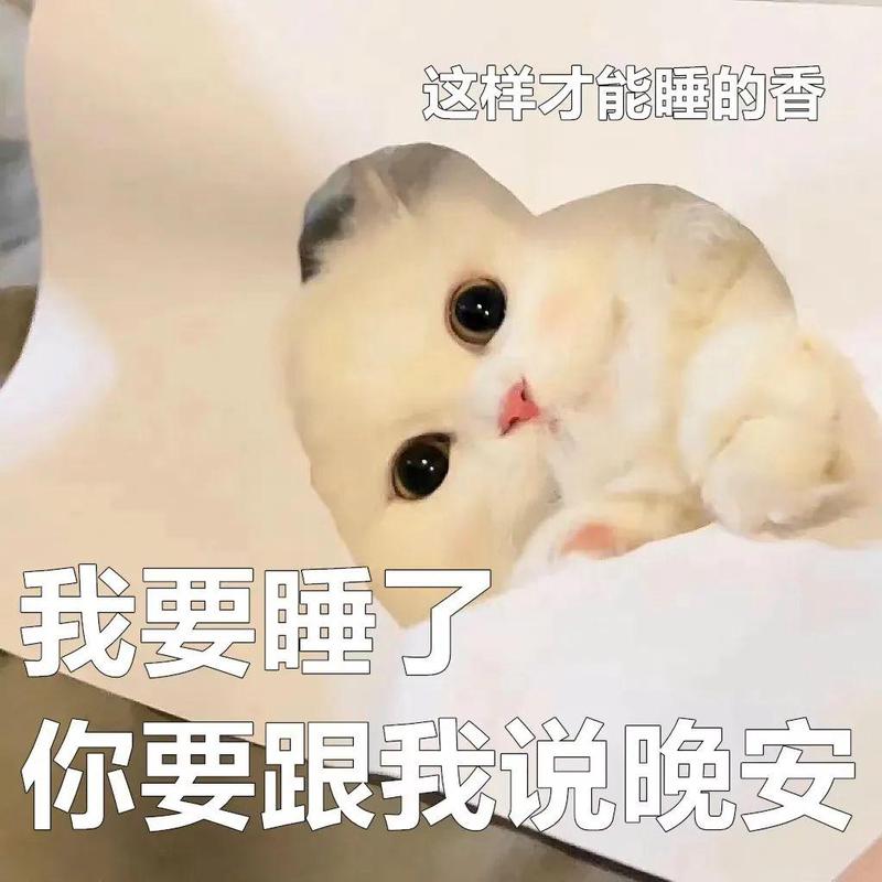 晚安早安，土情话里的浪漫时光…