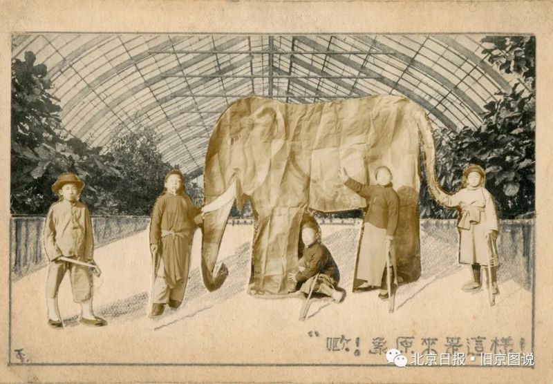 孙敬修爷爷的故事,像老茶一样暖 孙敬修爷爷的故事,像老茶一样暖