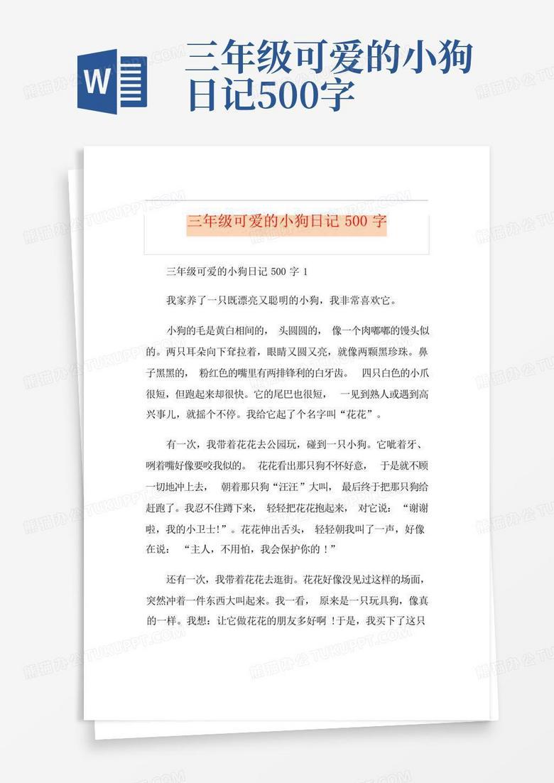 新成员报道丨我的小兔子