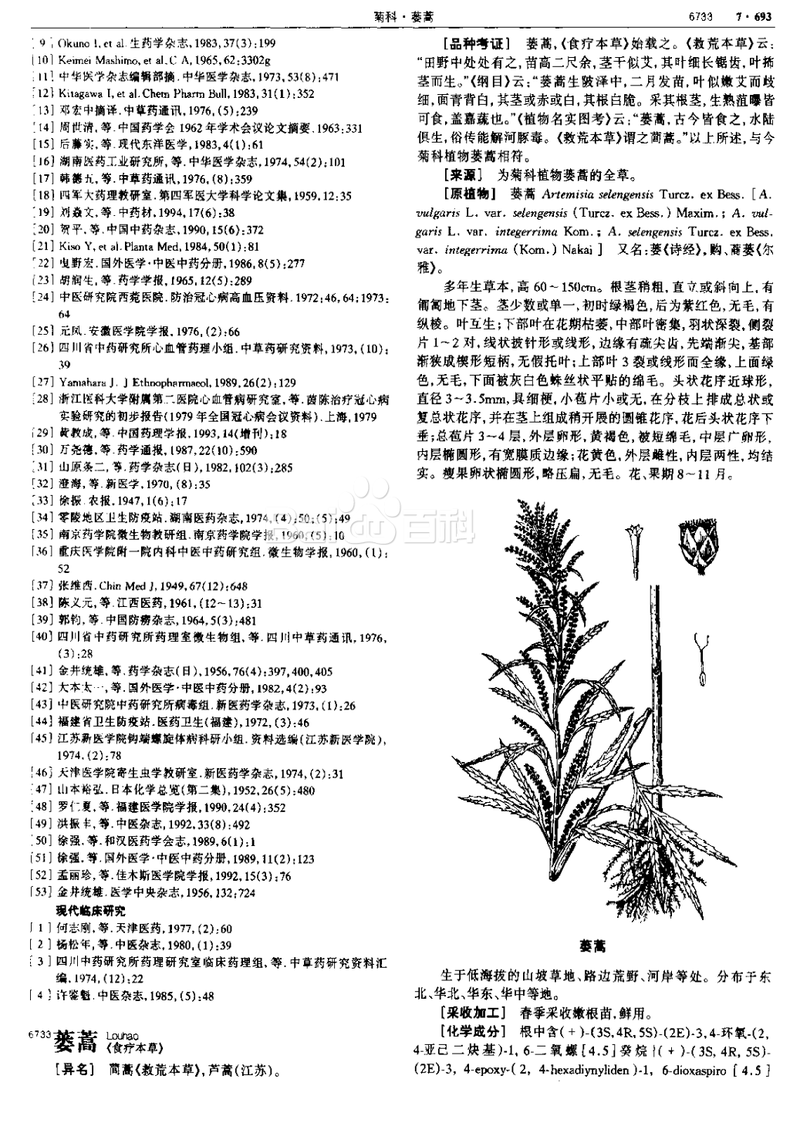 峝蒿日记丨雨后的清晨