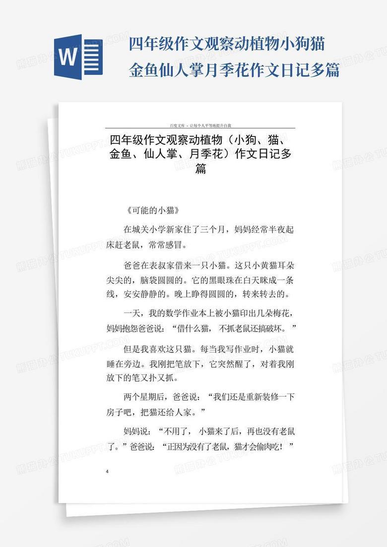 月季花在阳台发了疯…