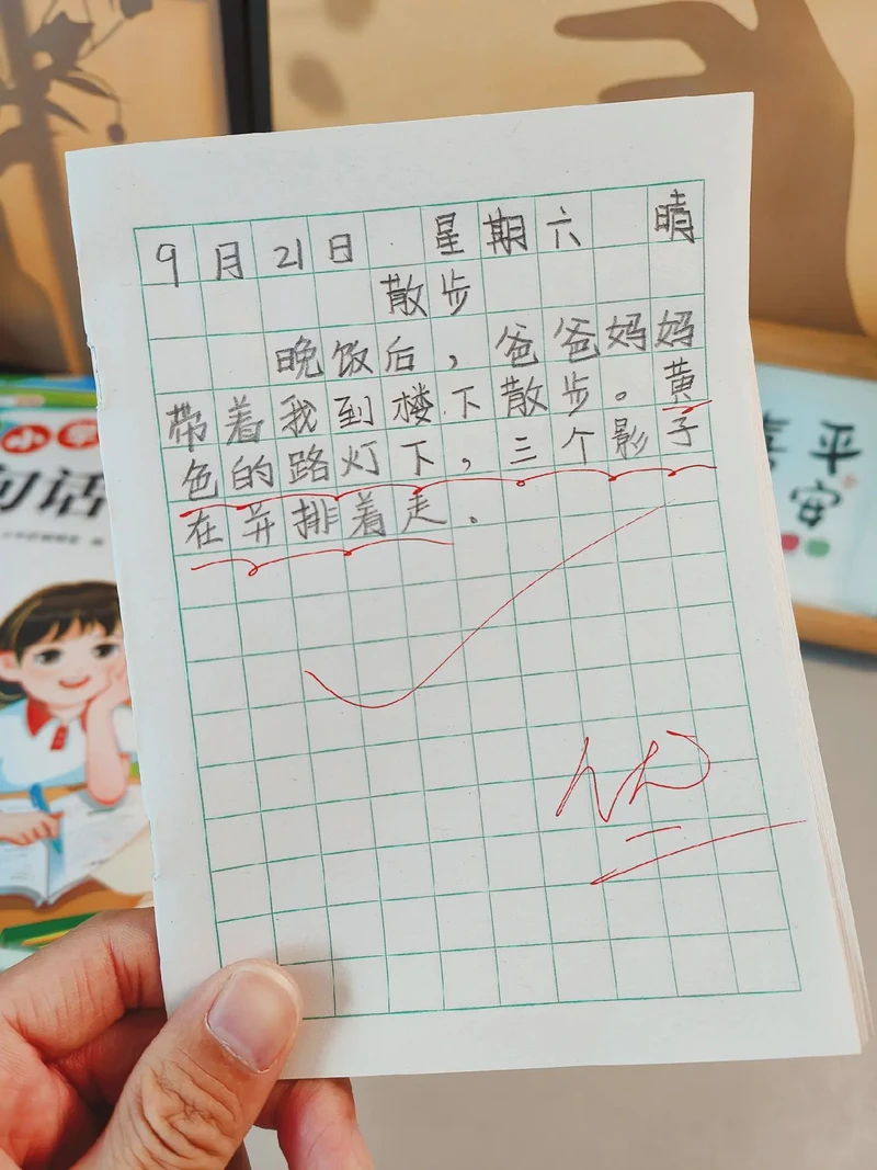 日记里的小小探索者？