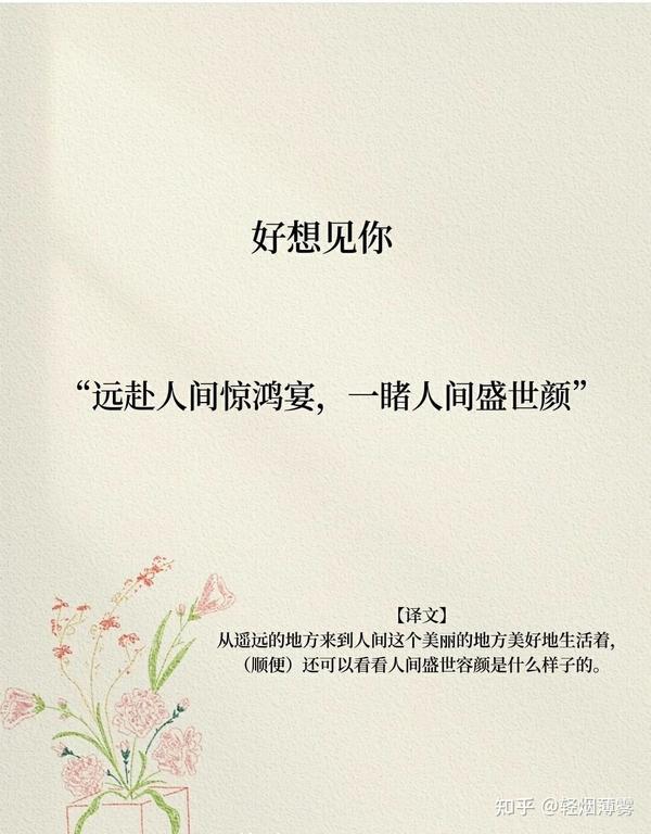 温柔诗意｜写给她的心动情话