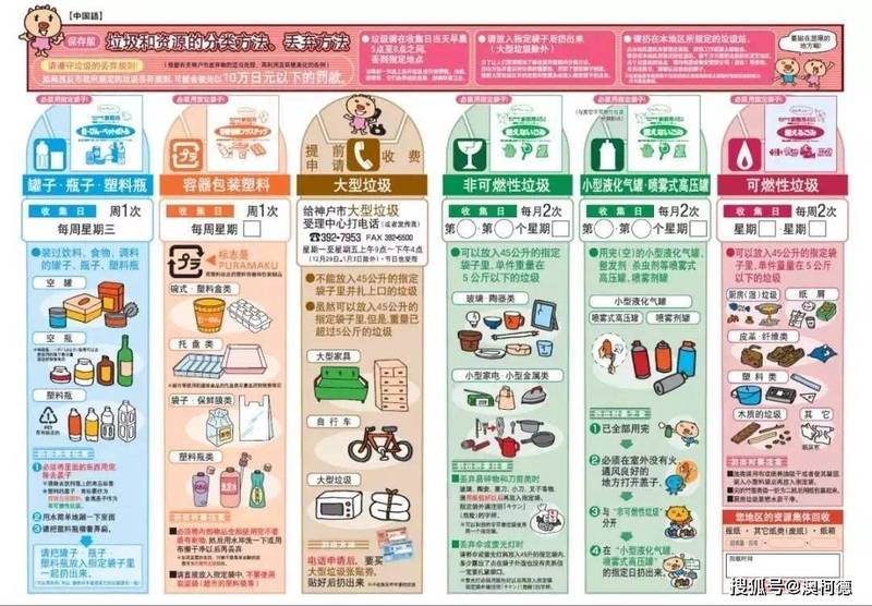 今天，我决定试一下垃圾分类！