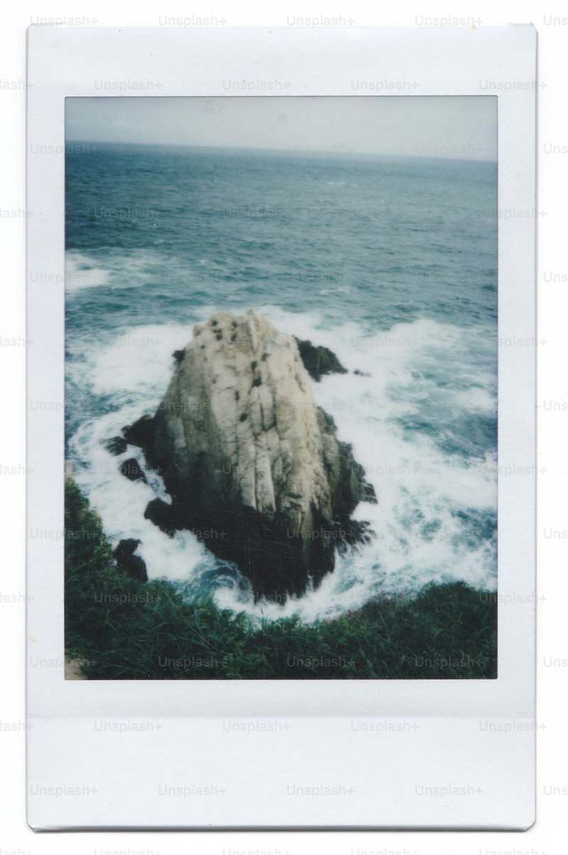 海底世界的奇妙之旅！