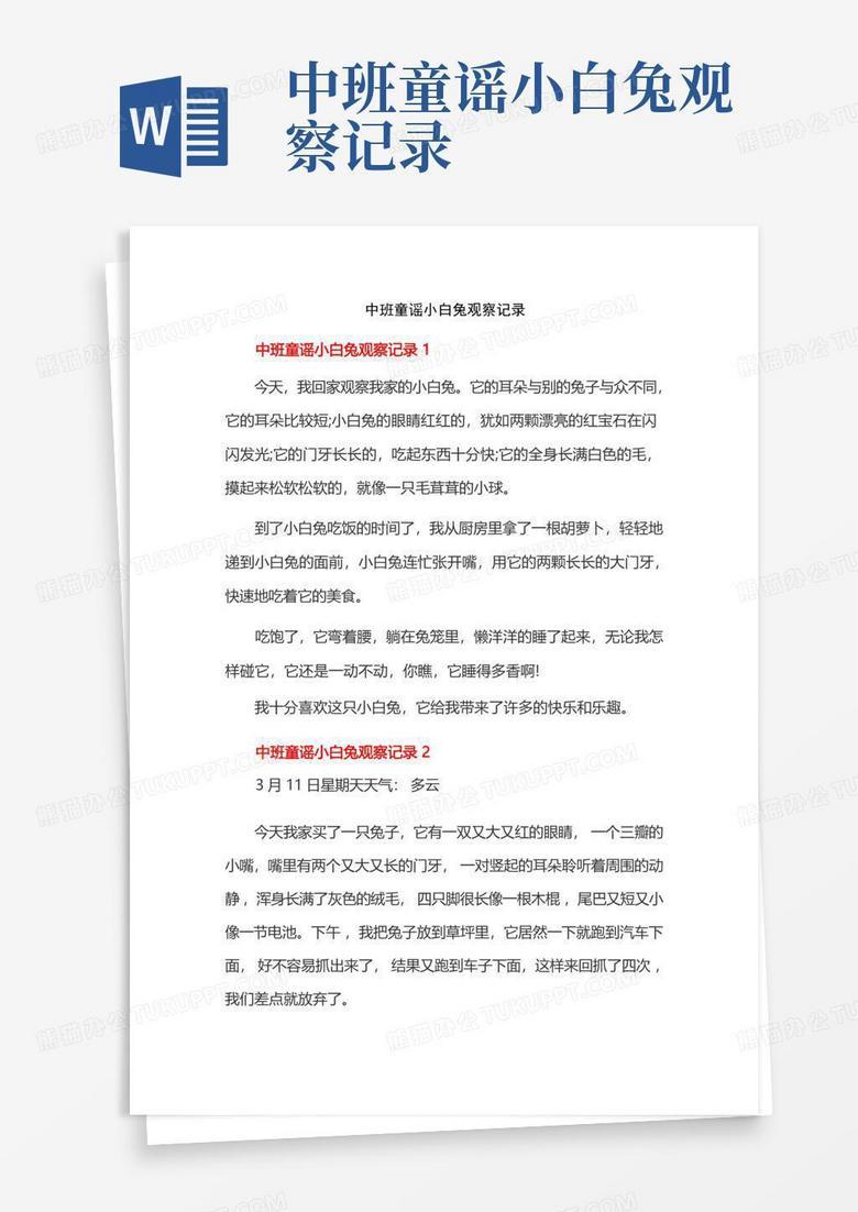 观察日记—我家那只“拆迁办”主任——小白兔